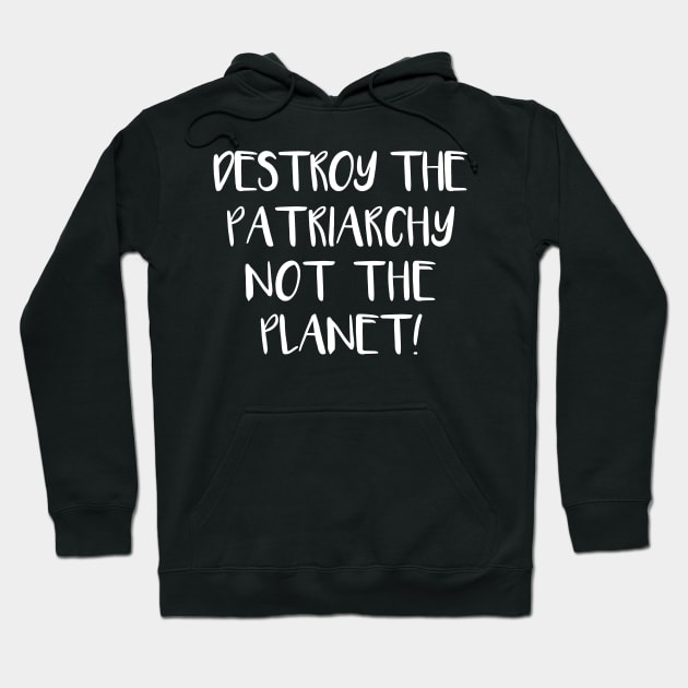 DESTROY THE PATRIARCHY NOT THE PLANET feminist text slogan Hoodie by MacPean